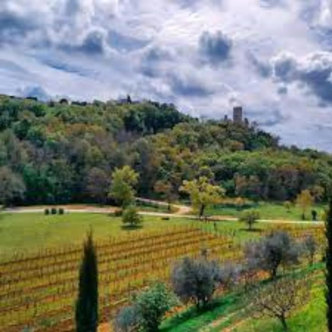 Villa Salvore - New Luxury House, Heated Pool, Near Beaches, Playroom - Istria Savudrija