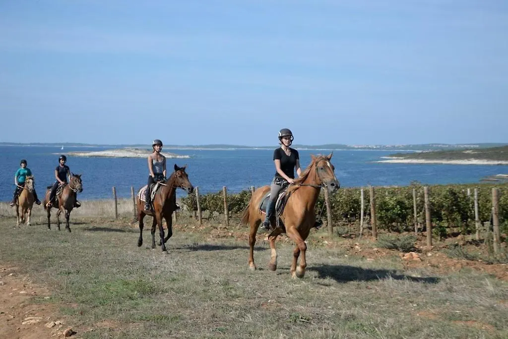 Villa Salvore - New Luxury House, Heated Pool, Near Beaches, Playroom - Istria Savudrija Croazia