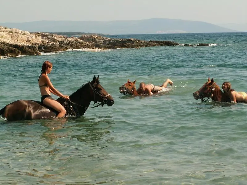 Villa Salvore - New Luxury House, Heated Pool, Near Beaches, Playroom - Istria Savudrija