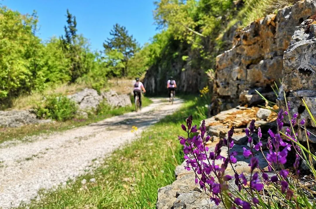 Villa Salvore - New Luxury House, Heated Pool, Near Beaches, Playroom - Istria Savudrija